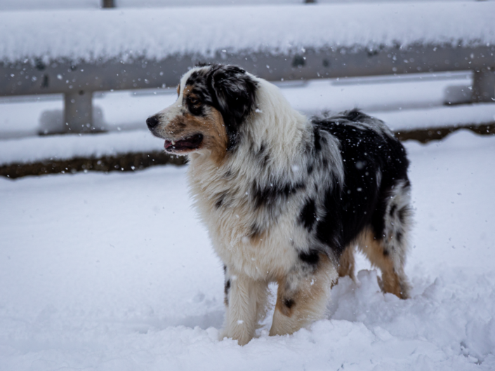 Pirineo de Huesca nevado