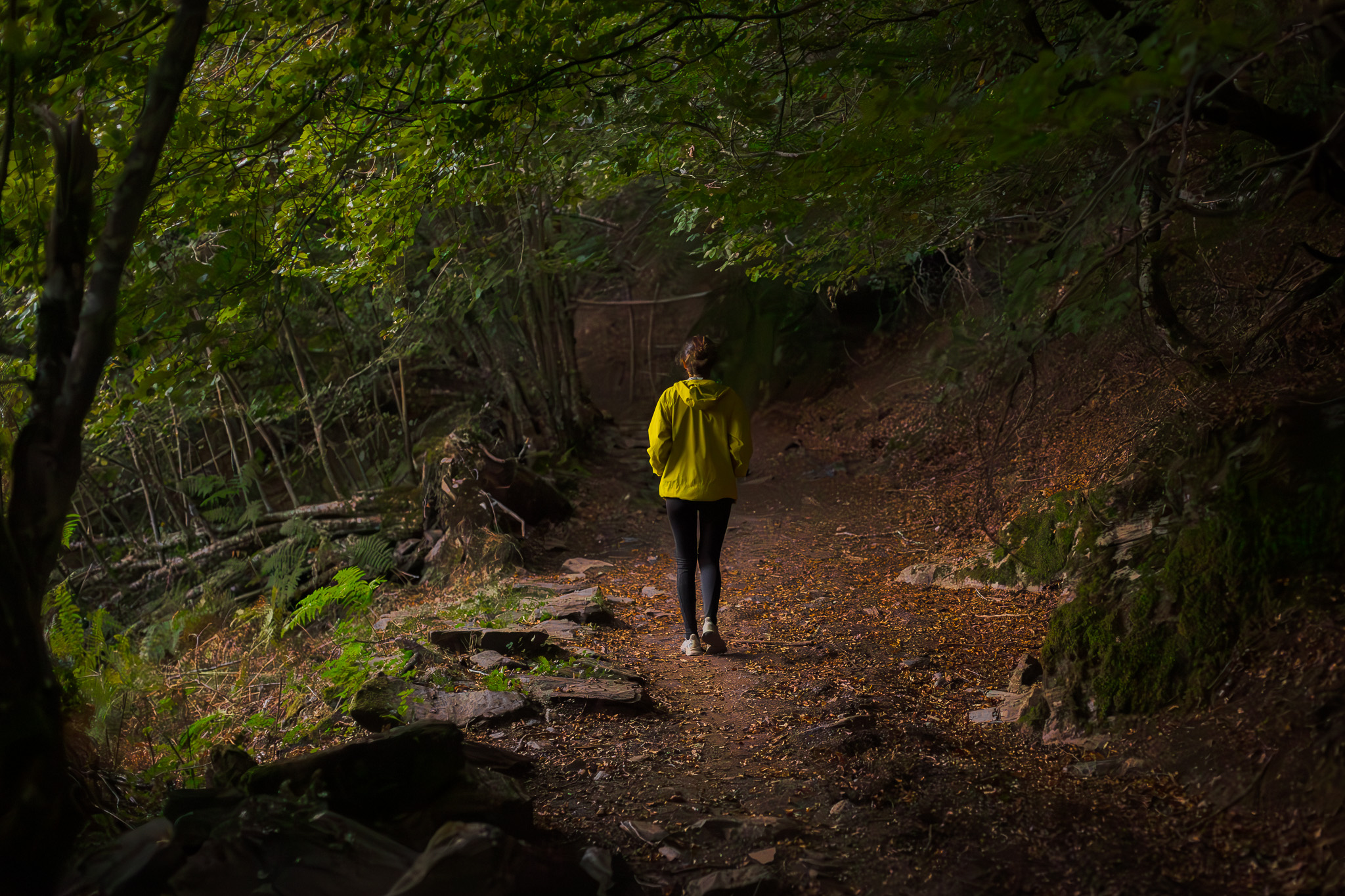 Caminante por el bosque de Carlac